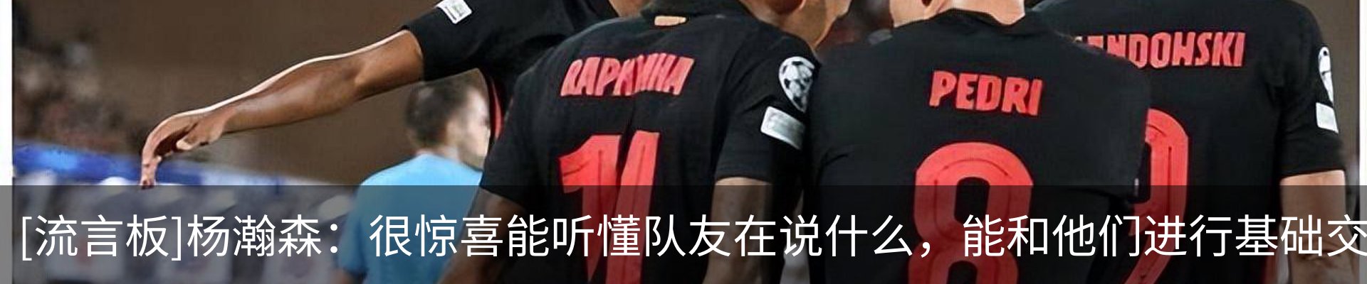 新闻动态